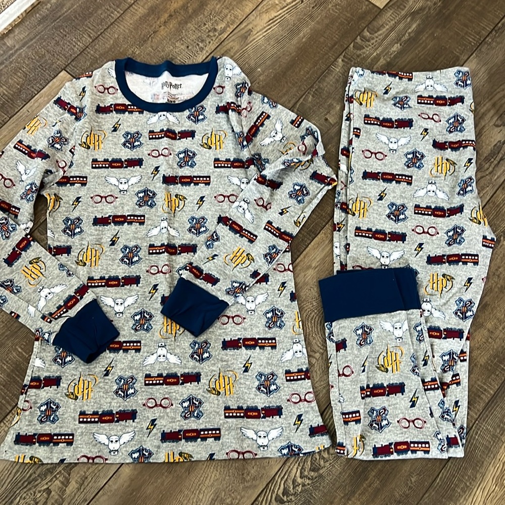 Harry Potter Pajama Set Adult Womens Size labeled XL Cotton 2 Piece Long Sleeves